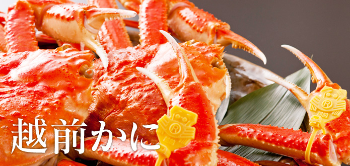 �z�O���ɂ̒ʔ�