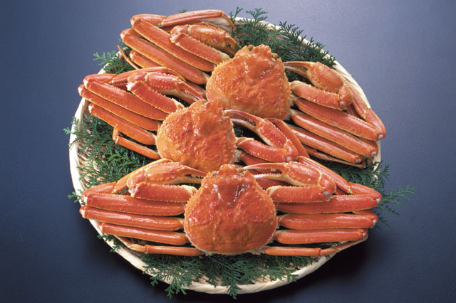 �J�j�ʔ̂̐l�C�X