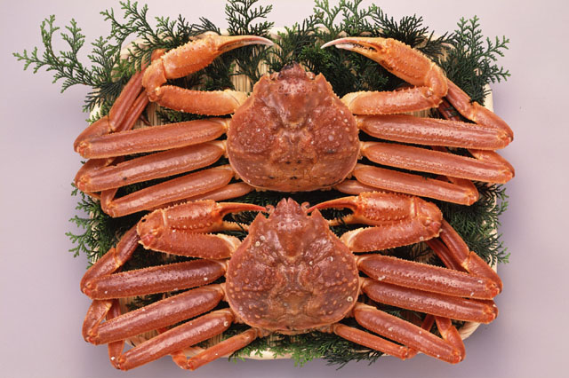 �z�O����